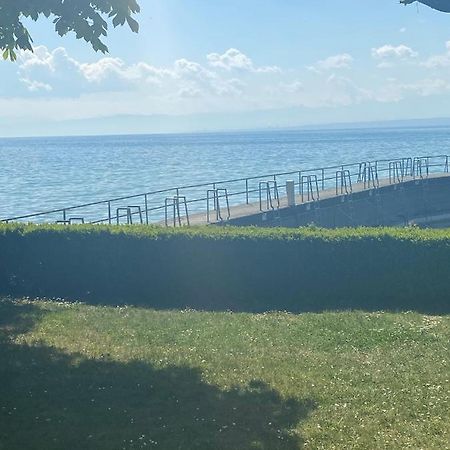 Hagnauer-Ferienwohnung Im Seegarten Esterno foto